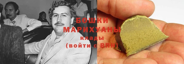 хмурый Бородино