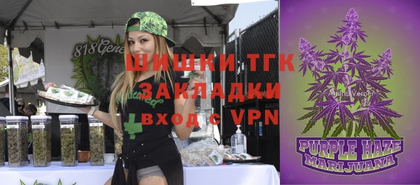 хмурый Бородино