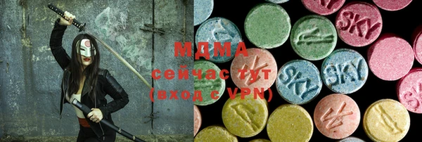 хмурый Бородино