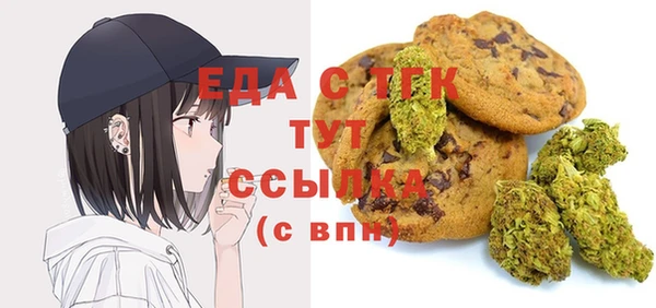 хмурый Бородино