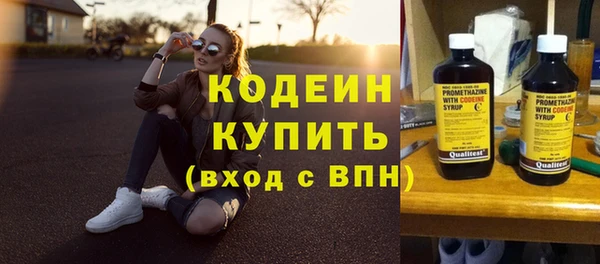 хмурый Бородино