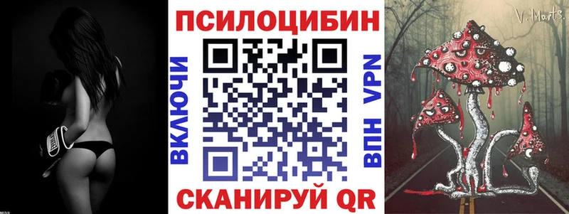 как найти наркотики Каменск-Шахтинский Галлюциногенные грибы мухоморы